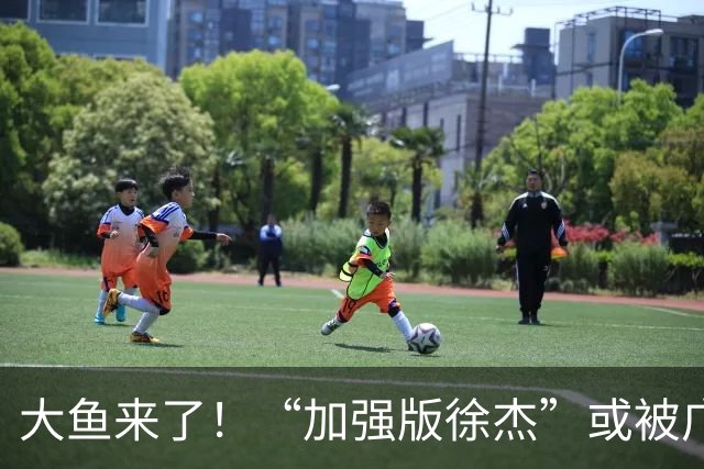 大鱼来了！“加强版徐杰”或被广东队挖走，男篮近年内最强双能卫